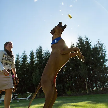 ホテル Falkensteiner L 4 Star Superior 4*