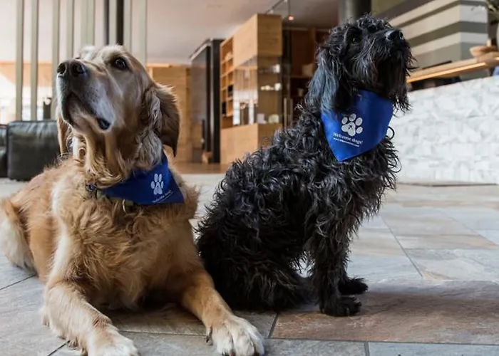 Falkensteiner L 4 Star Superior