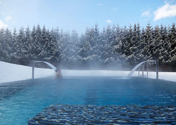 Hotel Falkensteiner L 4 Star Superior Schladming