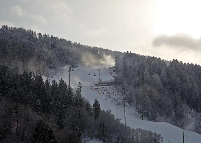 Szálloda Falkensteiner L 4 Star Superior Schladming