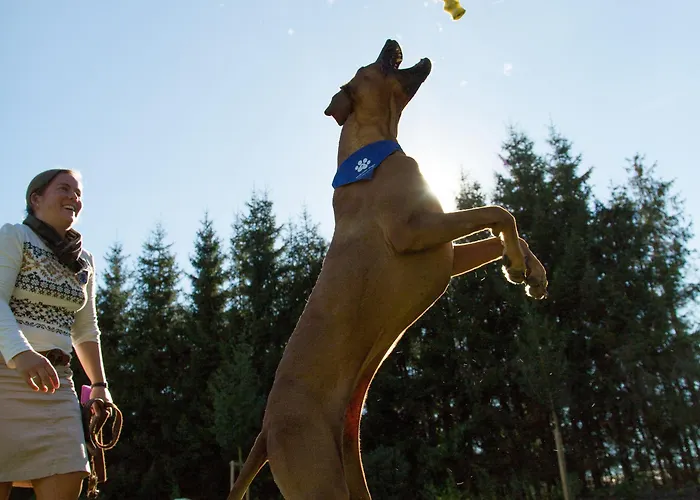 Готель Falkensteiner L 4 Star Superior 4*